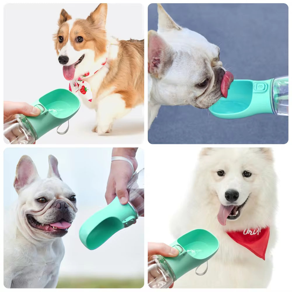 Portable Leakproof Dog Water Bottle for Hiking & Travel