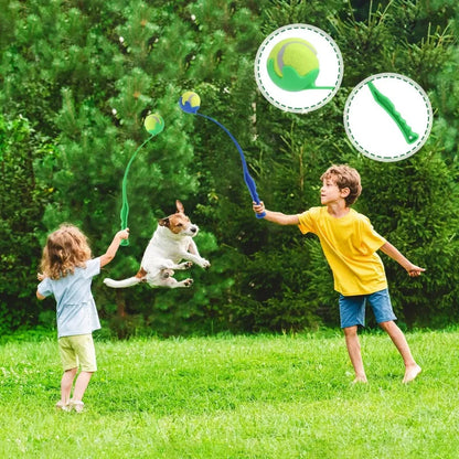 Ergonomic High-Velocity Pet Launcher