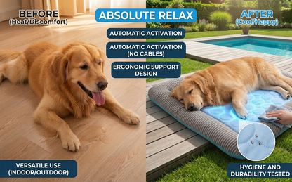 Anti-Heatstroke Cooling Pad