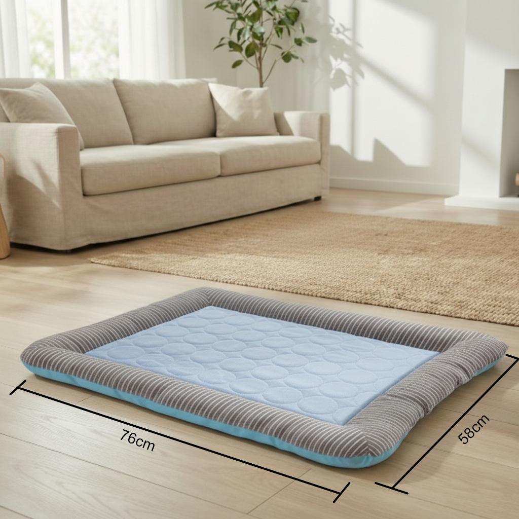 Anti-Heatstroke Cooling Pad